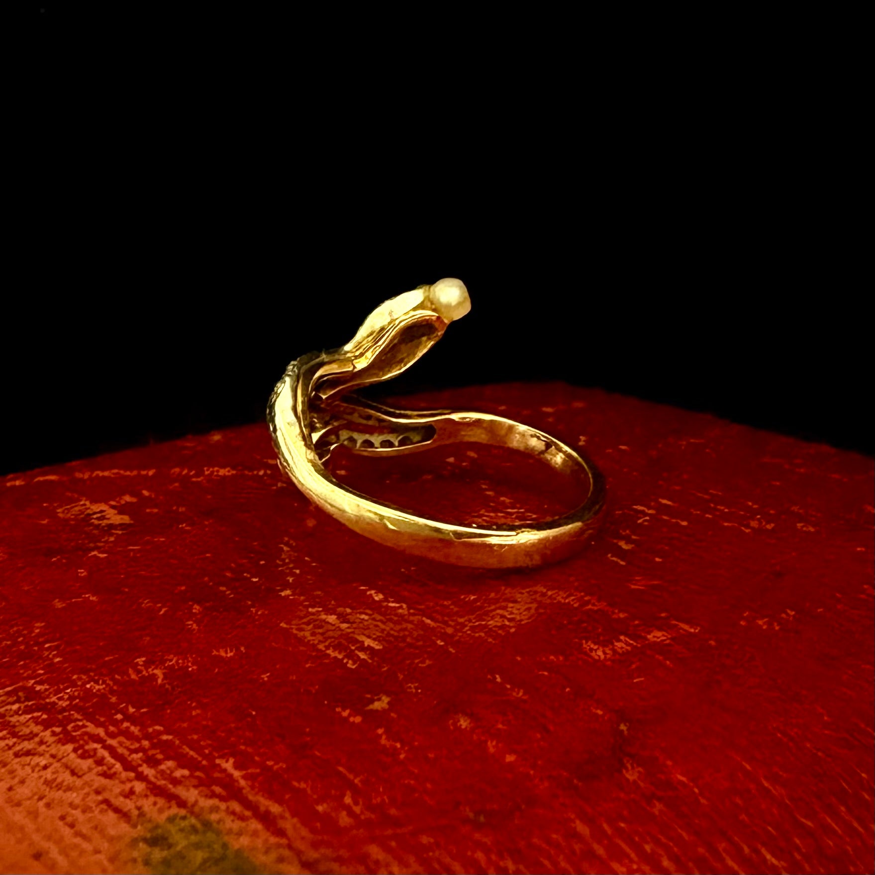 Gold snake-shaped ring on a red textured surface with a black background
