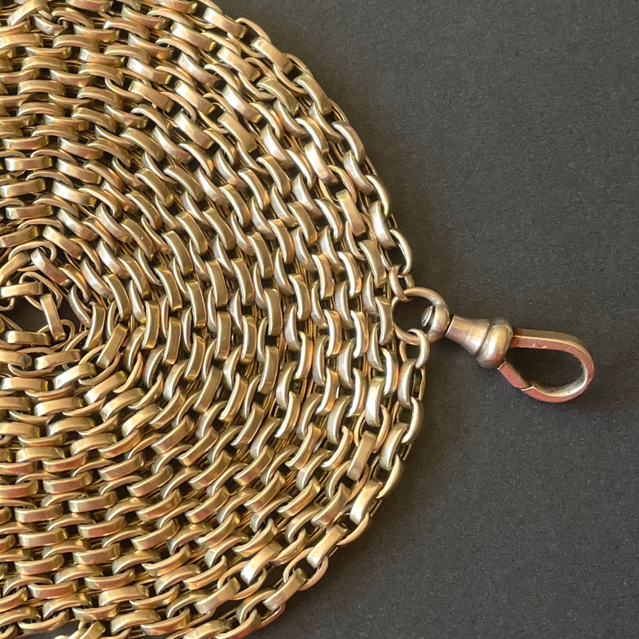 Powers That Be Antique Long Guard Chain with Dog Clip (42g, 67")