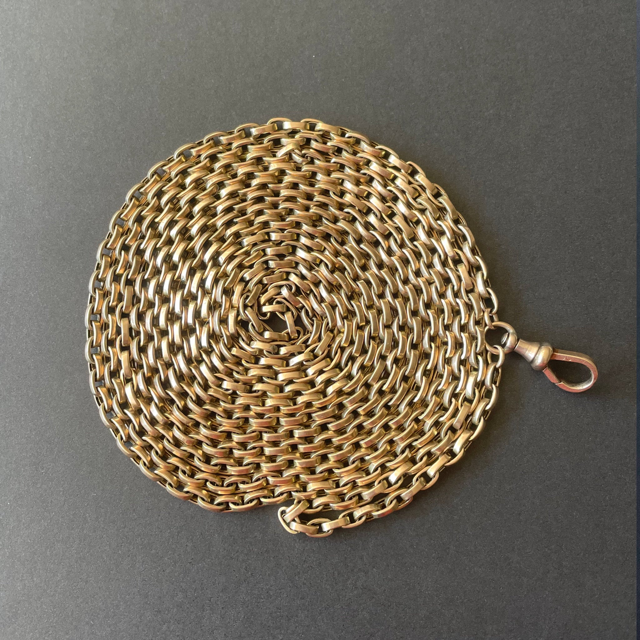 Powers That Be Antique Long Guard Chain with Dog Clip (42g, 67")