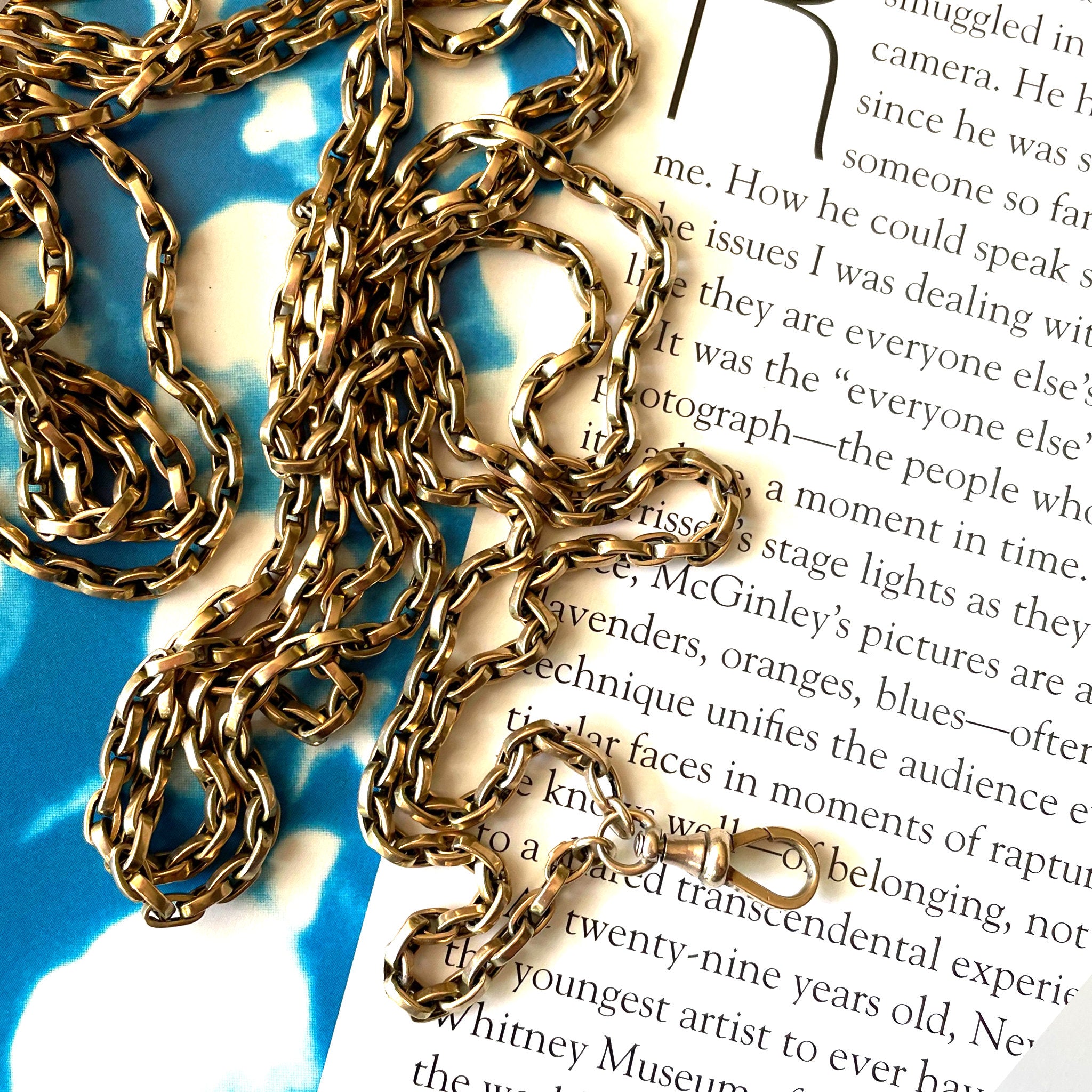Powers That Be Antique Long Guard Chain with Dog Clip (42g, 67")