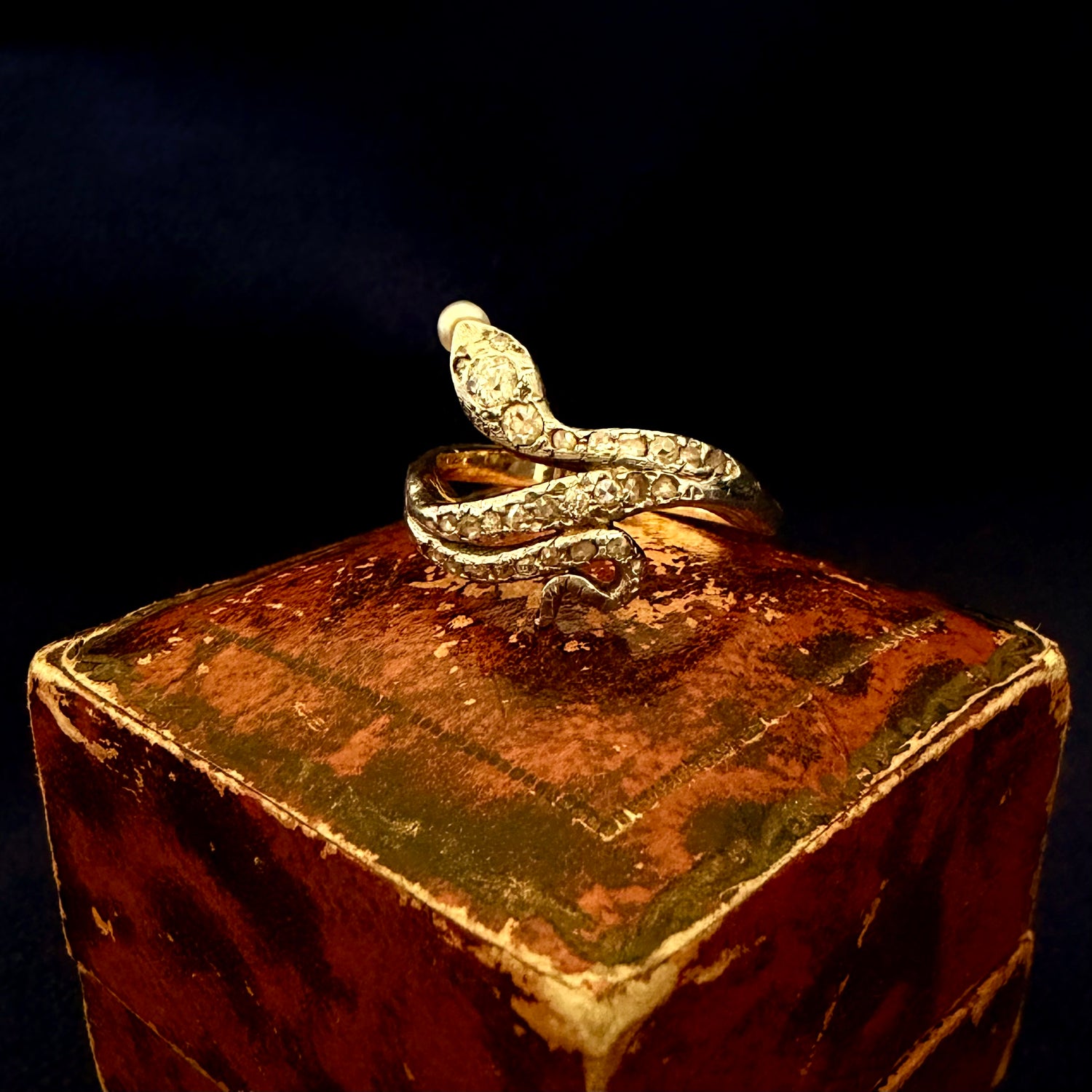 Platinum  snake-shaped ring on a textured brown surface with a dark background