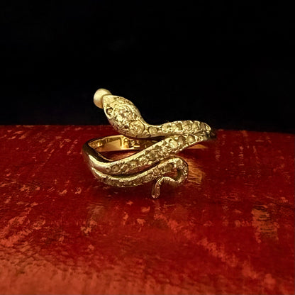 Gold snake-shaped ring on a red surface with a black background