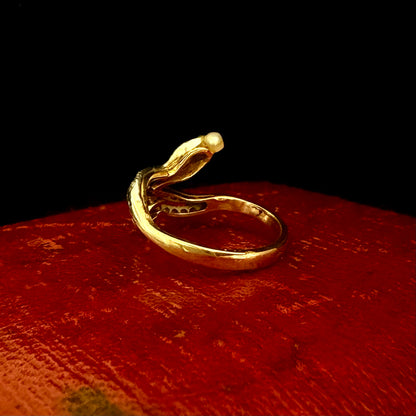 Gold snake-shaped ring on a red textured surface with a black background