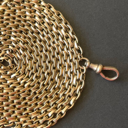Powers That Be Antique Long Guard Chain with Dog Clip (42g, 67")