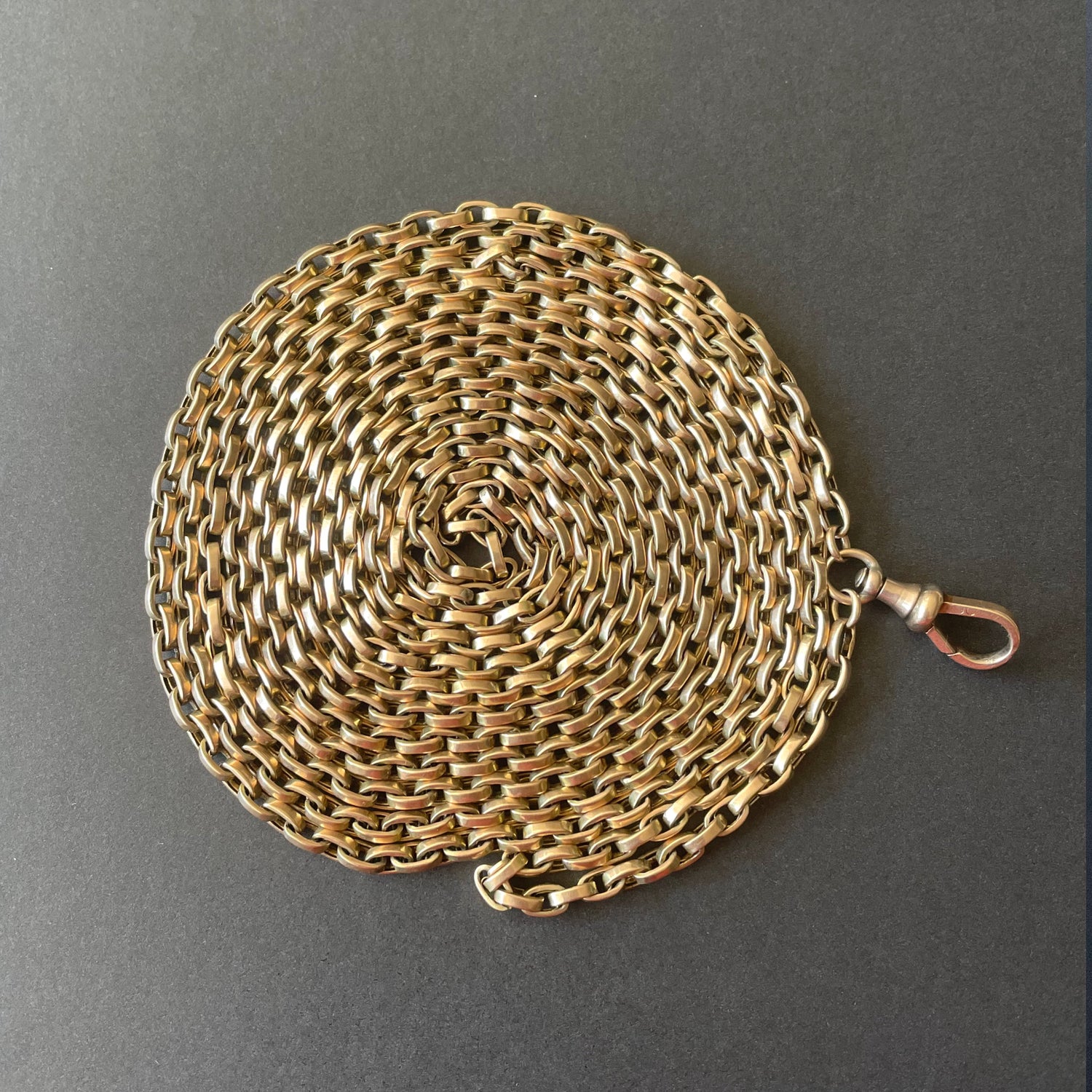 Powers That Be Antique Long Guard Chain with Dog Clip (42g, 67")
