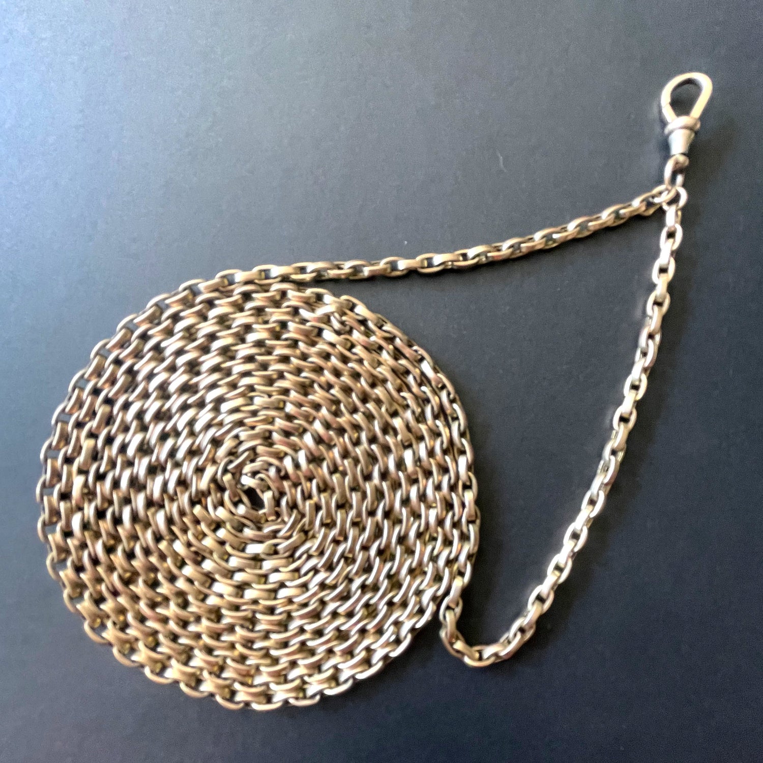 Powers That Be Antique Long Guard Chain with Dog Clip (42g, 67")