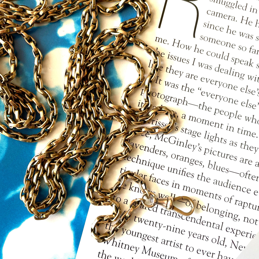 Powers That Be Antique Long Guard Chain with Dog Clip (42g, 67")