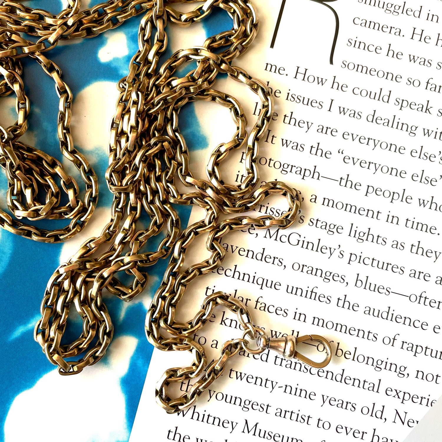 Powers That Be Antique Long Guard Chain with Dog Clip (42g, 67")