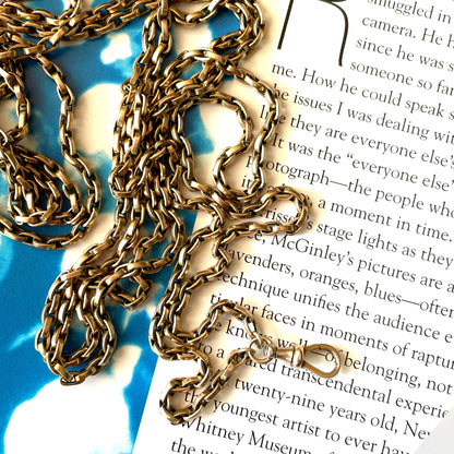 Powers That Be Antique Long Guard Chain with Dog Clip (42g, 67")
