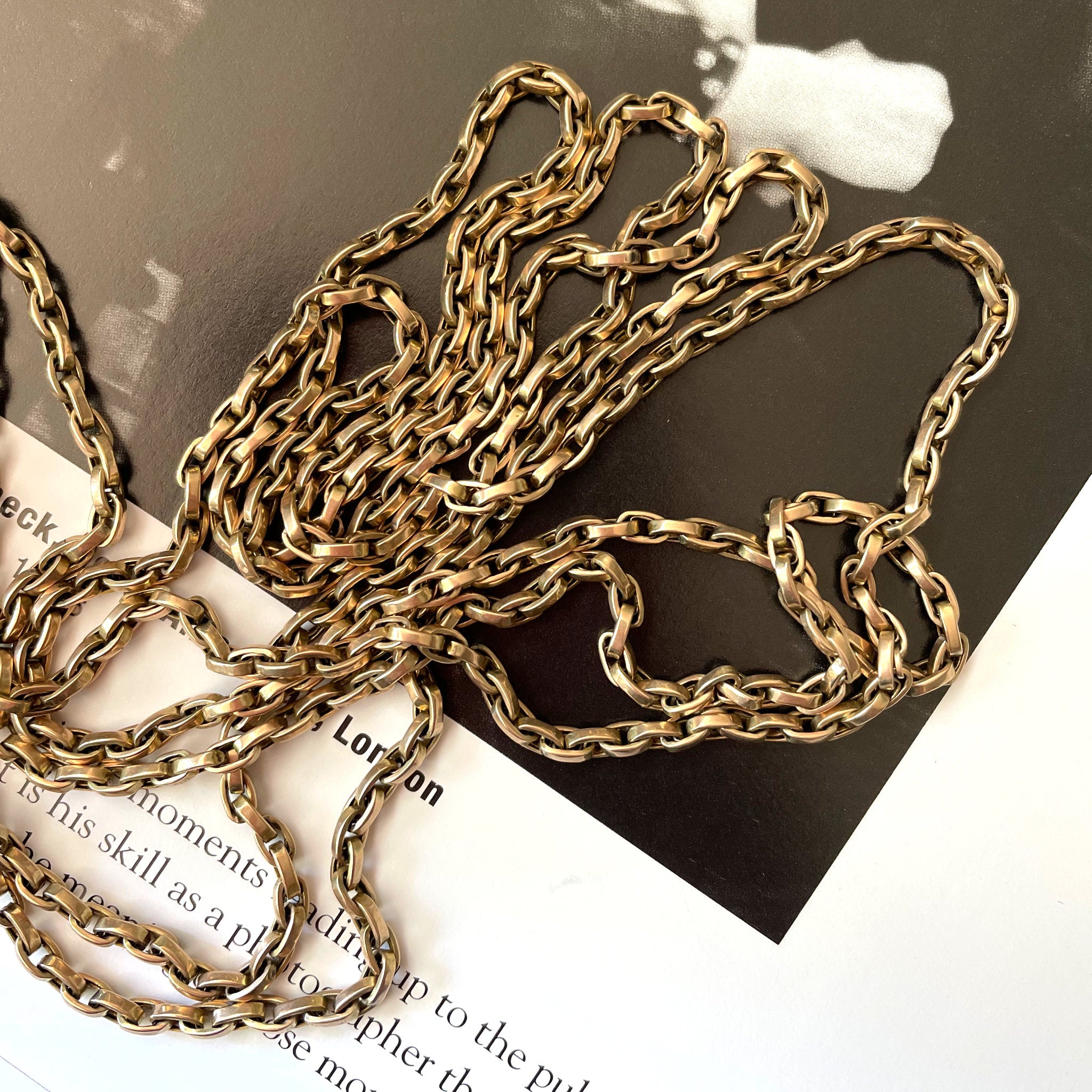 Powers That Be Antique Long Guard Chain with Dog Clip (42g, 67")
