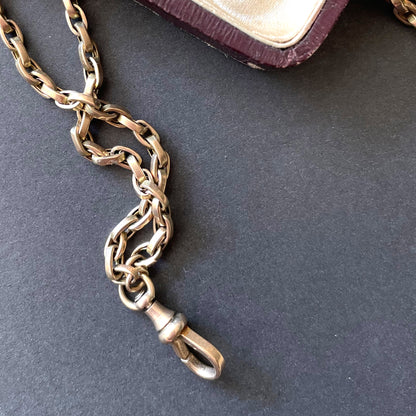 Powers That Be Antique Long Guard Chain with Dog Clip (42g, 67")